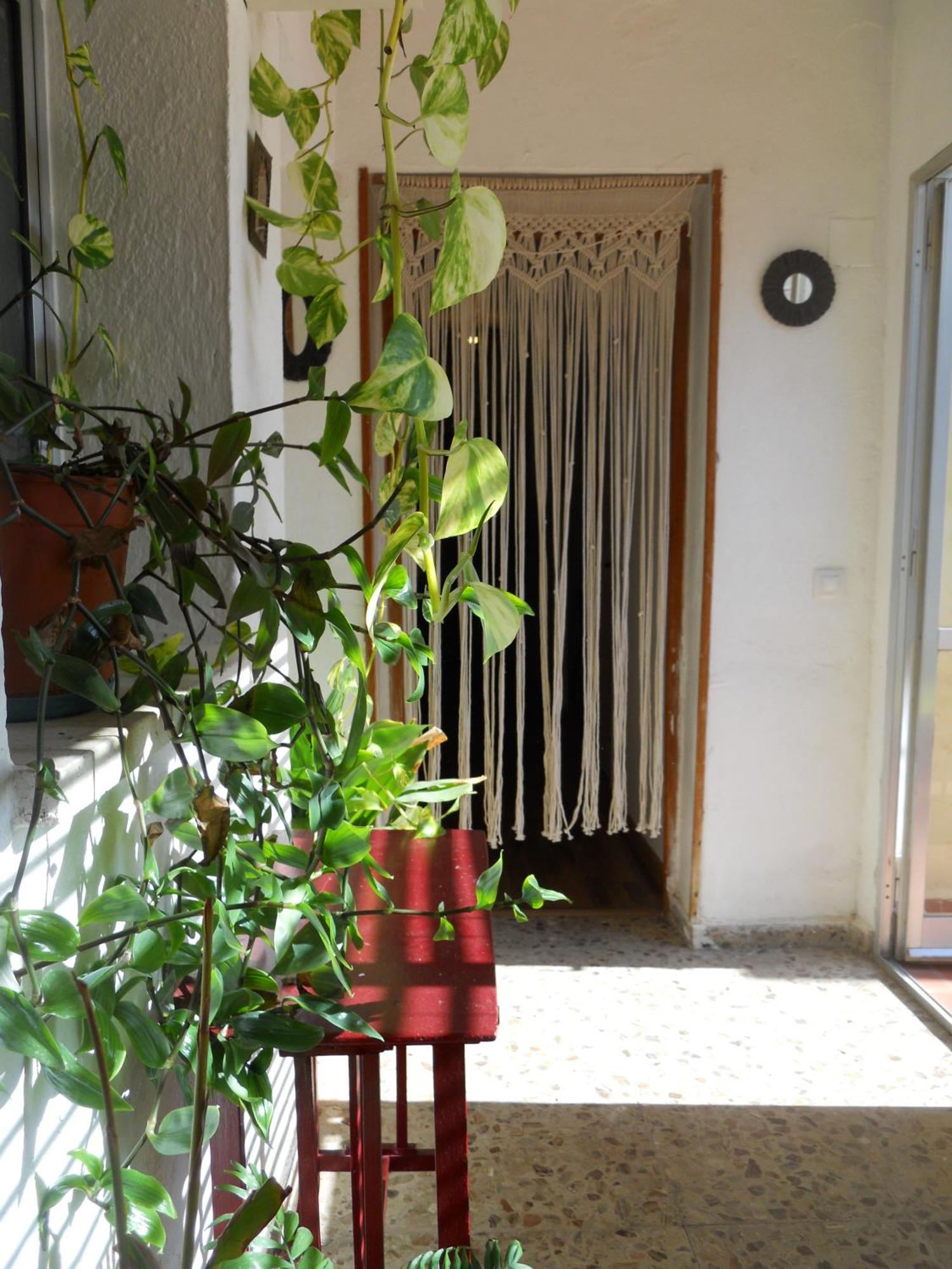 Naturalia: La Casita Con Patio Cáceres Exterior foto